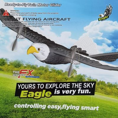 405mm Simulation Flügelspanne Fliegender Adler Flugzeug 2,4 g Funksteuerung Flugzeug für Unterhaltung