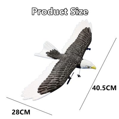2.4g Flugzeug Fx651 Segelflugzeug drahtlose Fernbedienung Adler Modell Schaum Rc Elektro-Griff Flugzeug Kinderspielzeug für Kinder